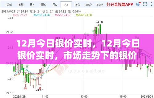 银价多少钱，市场动态与投资观察