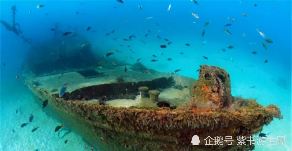 中国深海寻宝，成功打捞五万公斤黄金纪实