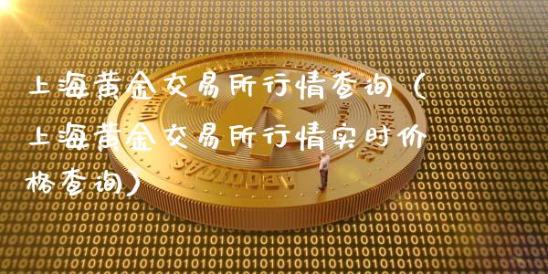 上海黄金交易所下载指南