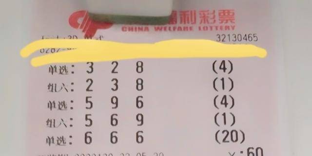 一句定三码3d天齐网，解码数字彩票的奥秘