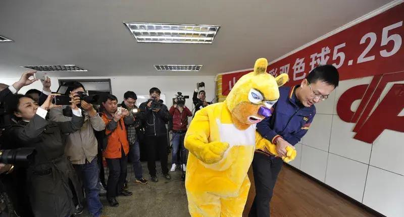 双色球开奖结果历史查询与双色球历史开奖概览