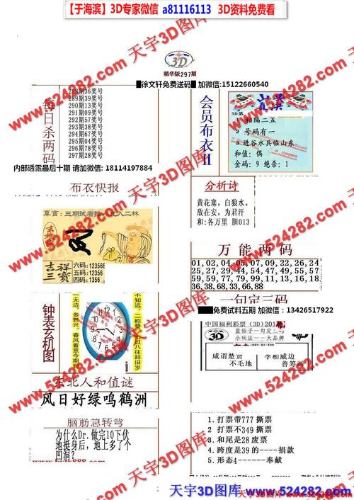 今天3D布衣天下真精华版——时尚与舒适的完美融合