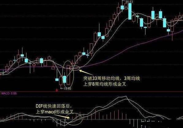 六开彩澳门，探寻最新、最全的开奖结果—你的幸运查询站！49853澳彩开奖查询资料