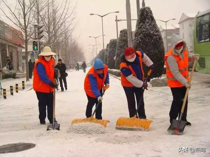 中国鸡蛋价格网，市场动态与消费者权益的守护者
