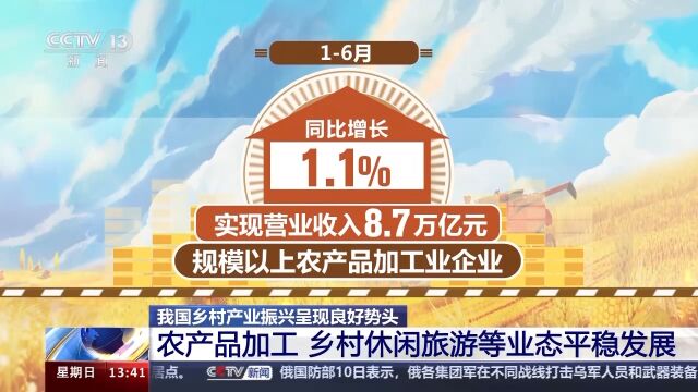 中国鸡蛋网——引领鸡蛋产业新时代的先锋