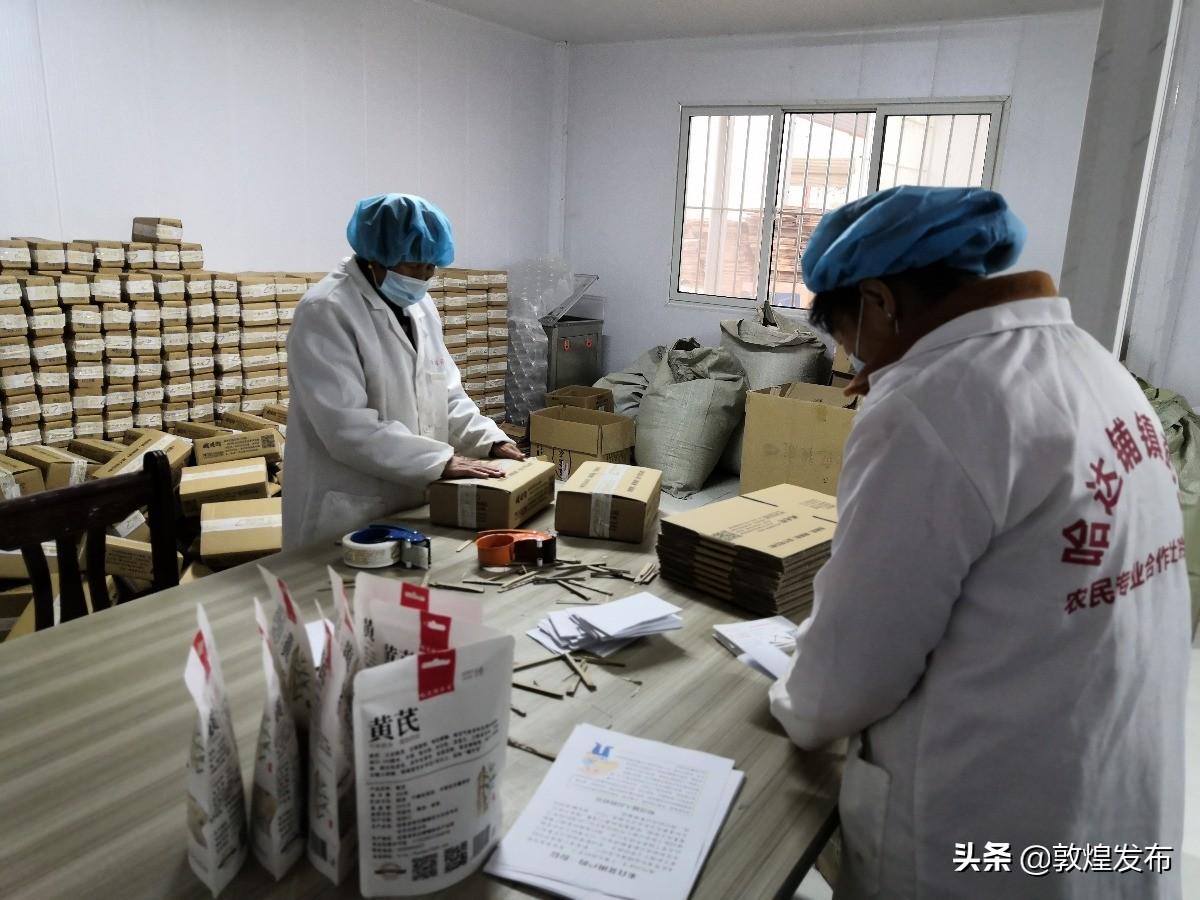 中药材价格信息网，中药材市场价格动态的权威平台