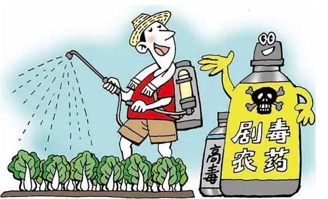 2035澳门资料大全正版186，探索与解析的深度之旅2025年澳门今晚开奖号码