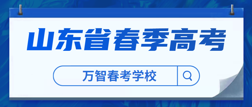 山东考试官网，考生必备的权威平台