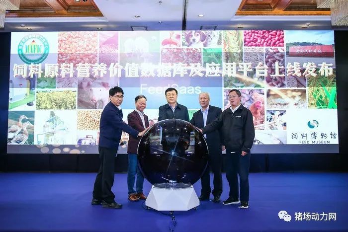 中国饲料粮油信息网，连接供需，助力农业发展