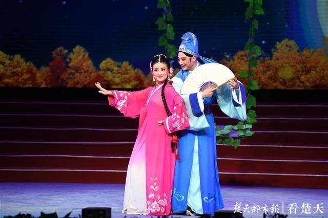 湖北招生信息网与地方专项计划，助力教育公平与人才培养