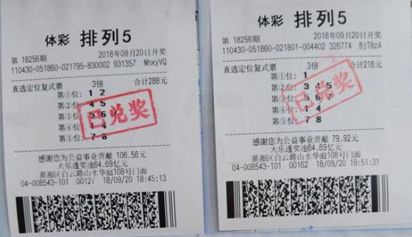 排列3预测专家揭秘，精准预测背后的科学与艺术