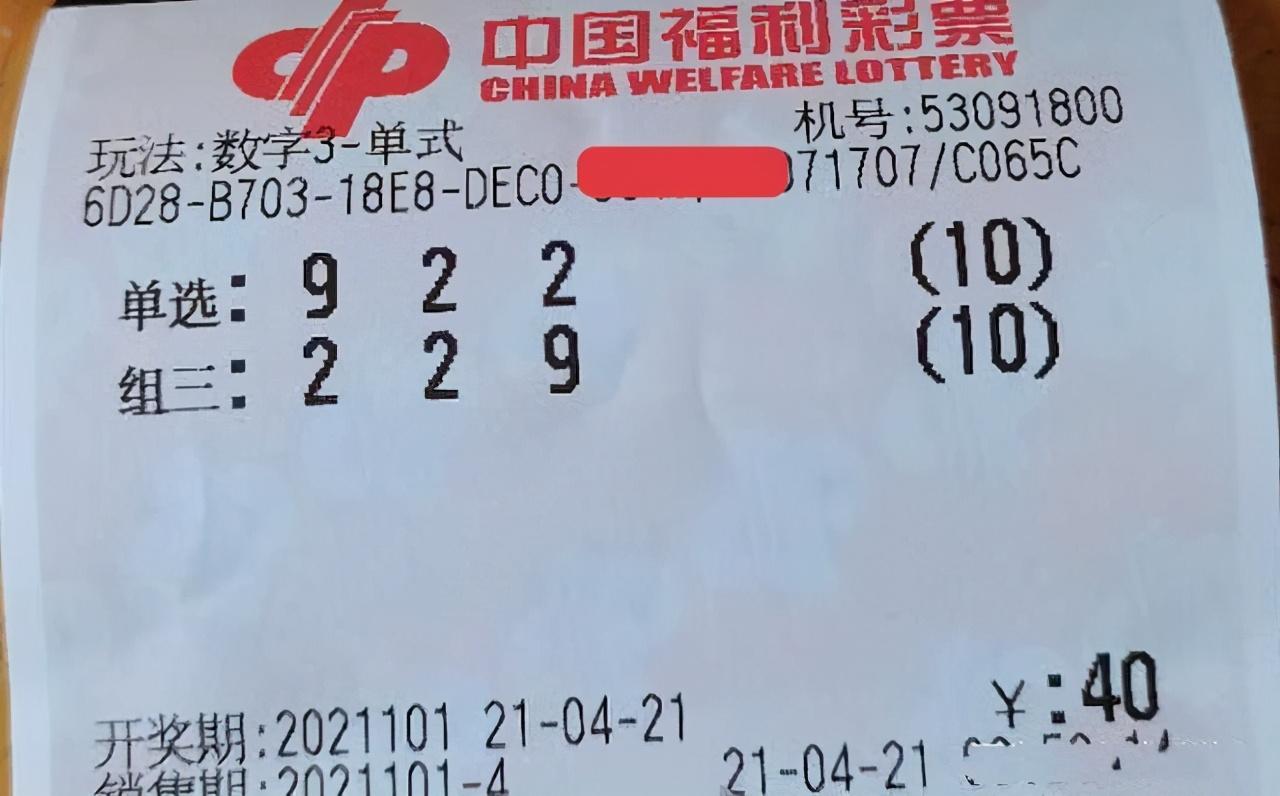 河南3D高手的彩票之路，智慧与运气的完美结合