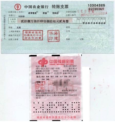 双色球开奖大全下载，掌握彩票中奖秘诀的必备工具
