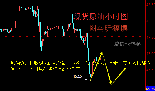 中财网3D走势图解析与市场洞察