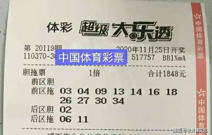 新澳门六开彩正版免费资料大全，全面解析与实用指南2025新澳门开奖结果记录查询表下载