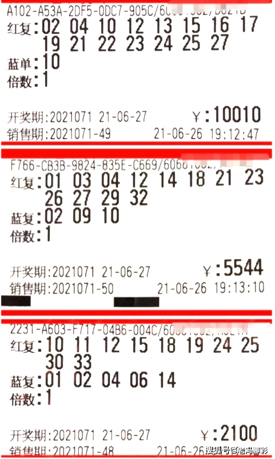 黑龙江福彩网双色球2019071期，揭秘数字背后的幸运与希望