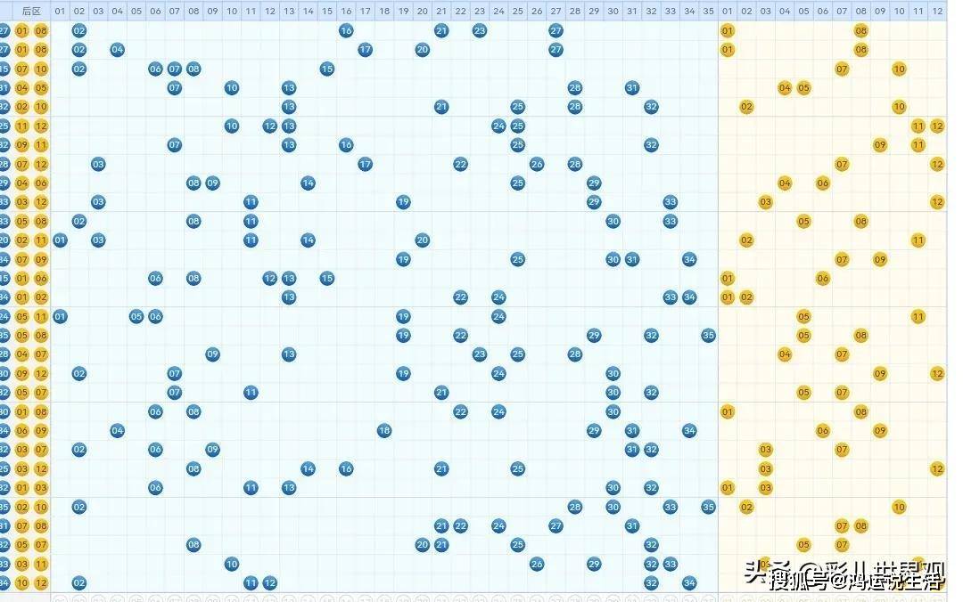 大乐透十大专家预测，精准解读未来开奖走向