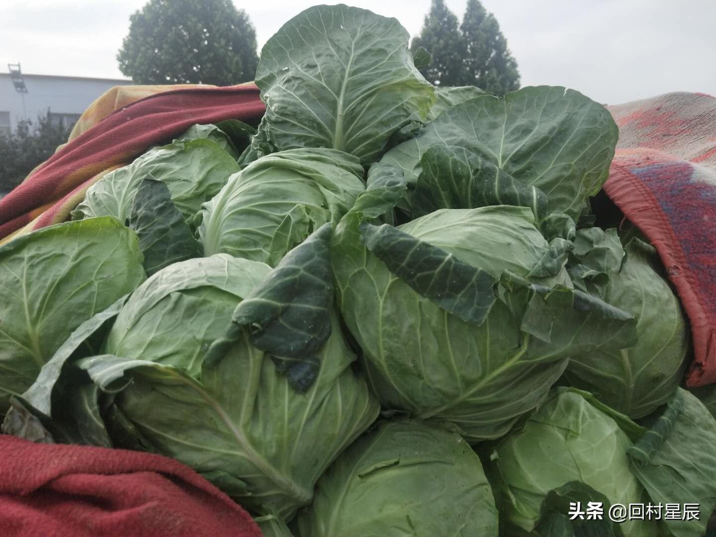 河北20选5走势图深度解析，近30期数据与趋势分析