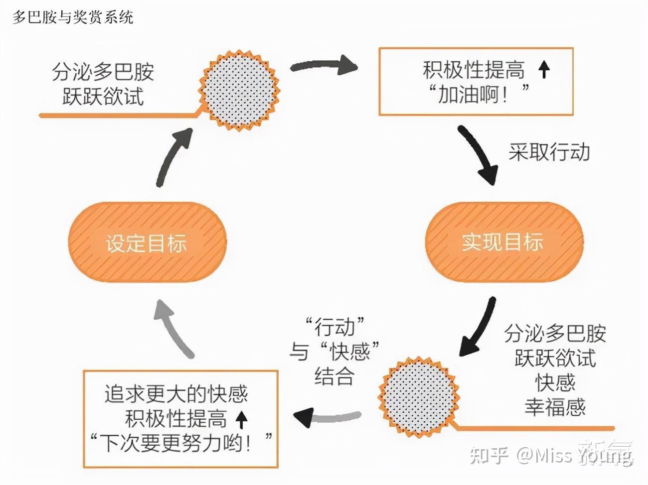 深入解析，三大法宝关系的相互影响与作用