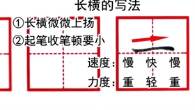 三的笔顺详解