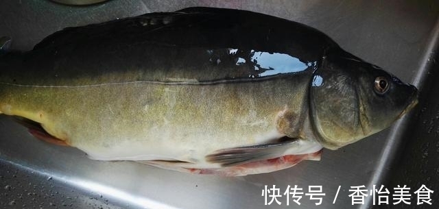 三道鳞与清江鱼，哪一种更美味？