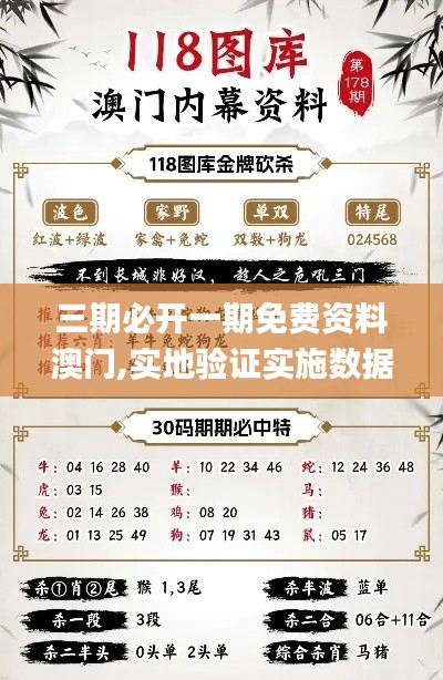 澳门免费资料解析，三期必开期之秘