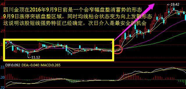 一码精准预测，肖数独领风骚—揭秘100%的准确性背后之谜！一码一肖100%精准一一