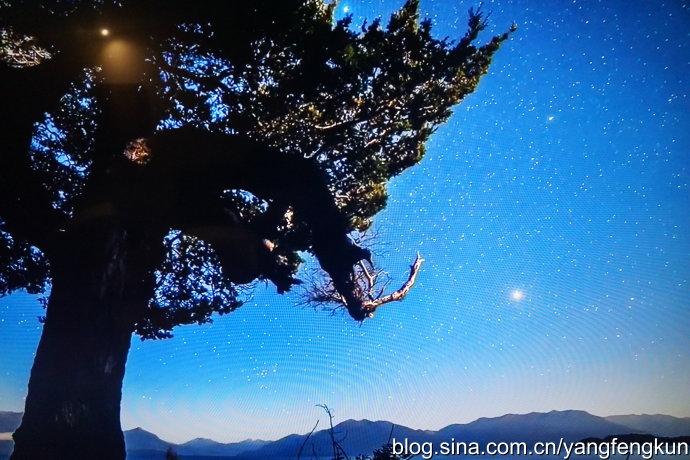 新澳精准资料，免费提供的价值与意义探索之旅新澳今天最新资料