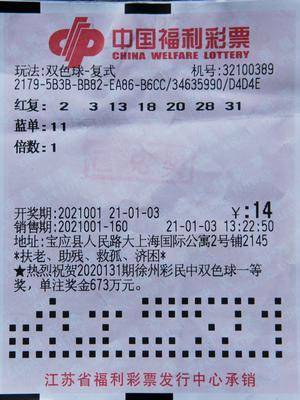 2035年澳门彩民的福音，探索天天开好与未来彩票下载新趋势分析报告2021澳门天天开彩