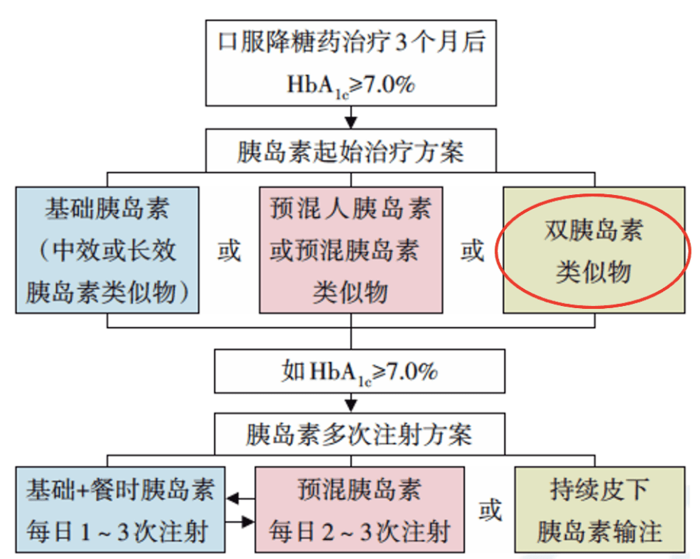 新澳门免费资料大全，全面解析与实用指南2025新澳门精准正版免费