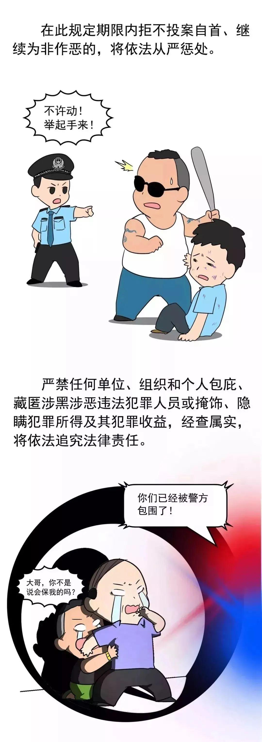 2019年六开彩精彩回顾，那些值得珍藏的开奖记录与故事分享2019六开彩开奖记录结果
