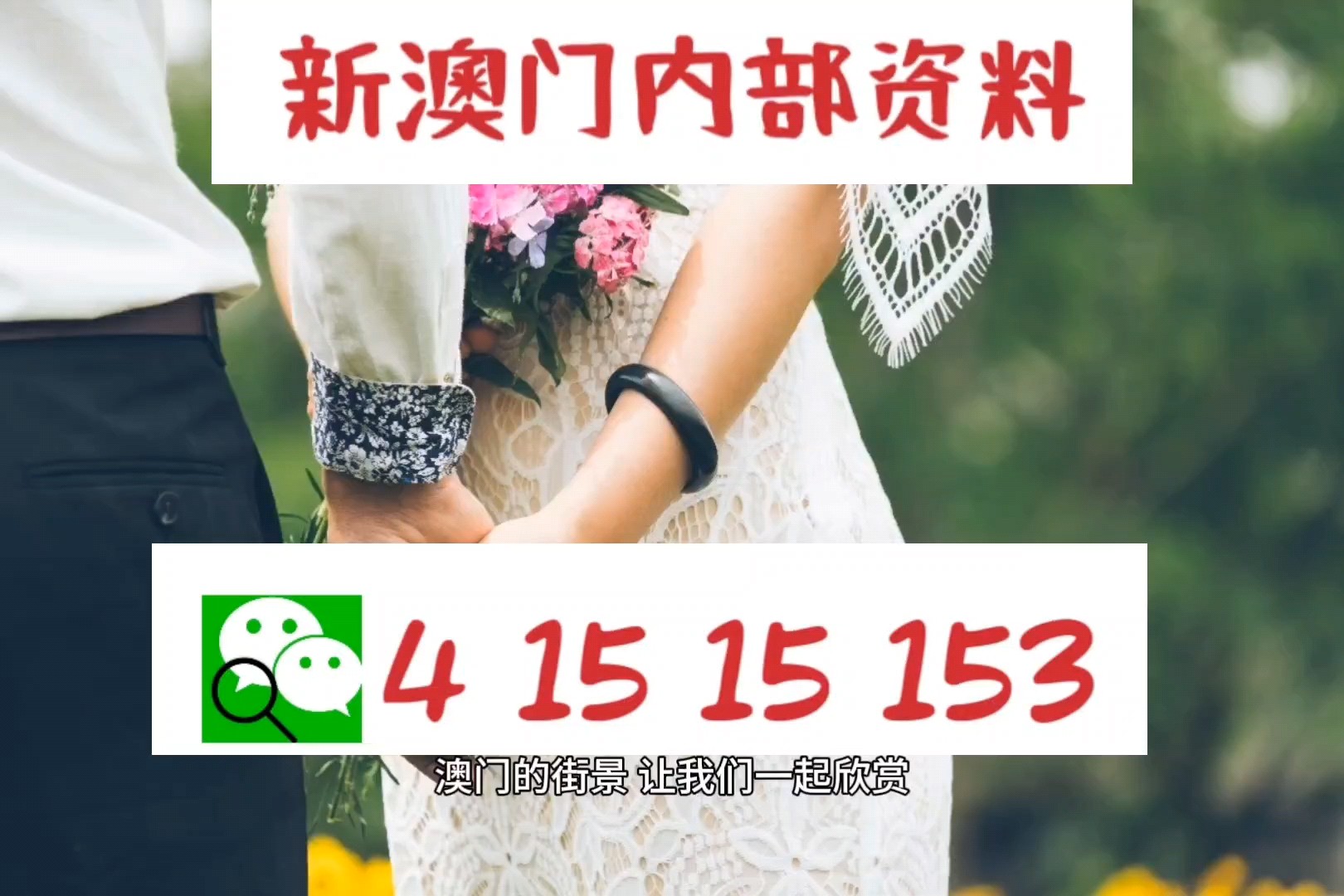 2024澳门精准正版资料76期下载美人鱼