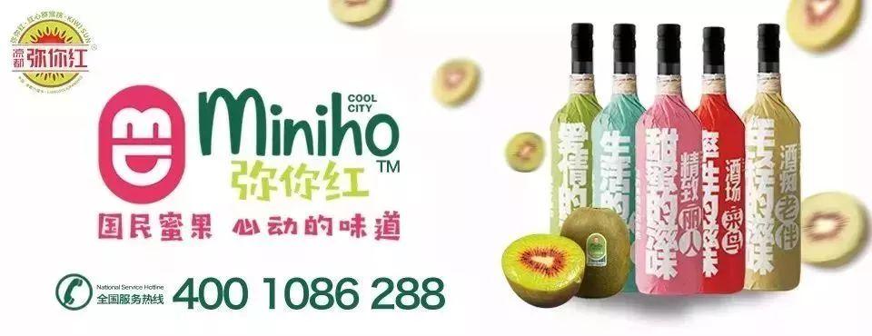 2018年香港开奖结果回顾与解析，幸运之轮的转动轨迹揭秘之旅！2018香港开奖历史号码