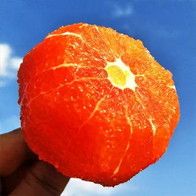 管家婆心水报正版彩图—揭秘彩票背后的智慧与机遇分析报告管家婆心水报彩图网