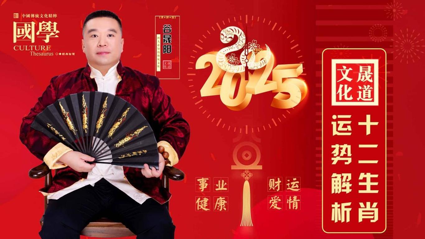二肖3码的奥秘与解读今晚公开二肖二码