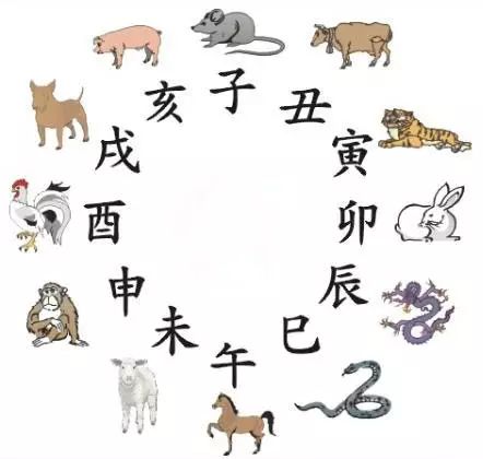 期待四肖选一，揭秘生肖之谜
一篇关于的深度解析与探讨。期期四肖选一肖192.168.0.1