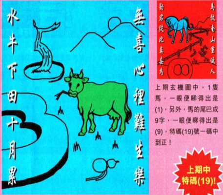 管家婆203年正版资料图片大全，全面解析与实用指南2020年管家婆彩图大全