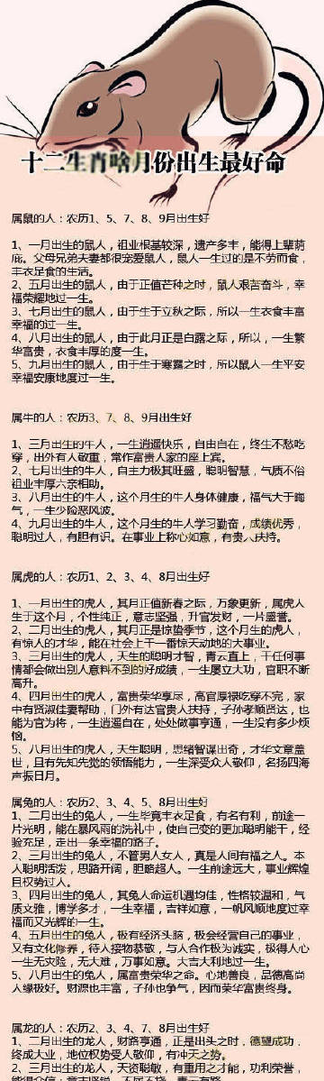 管家婆一码中肖更新日期揭秘与解析，助您掌握最新运势！strong>探索管家婆婆新一期生肖预测的秘密