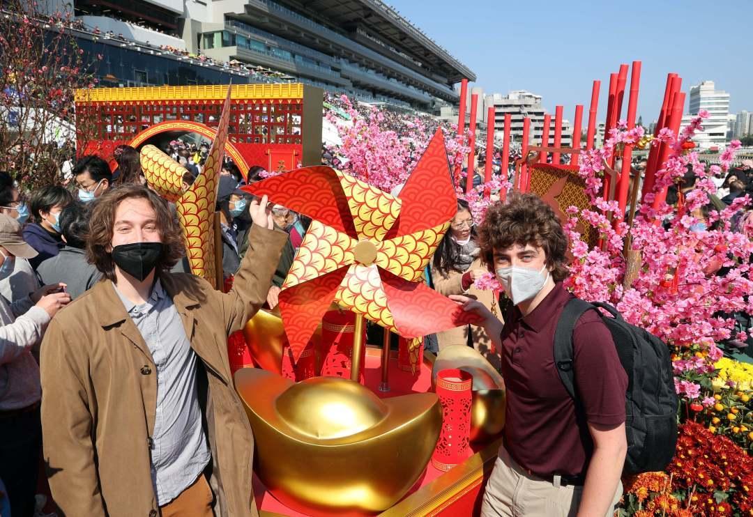 2018香港马会全年资料大全，赛驹风采与赛事概览的全面解析