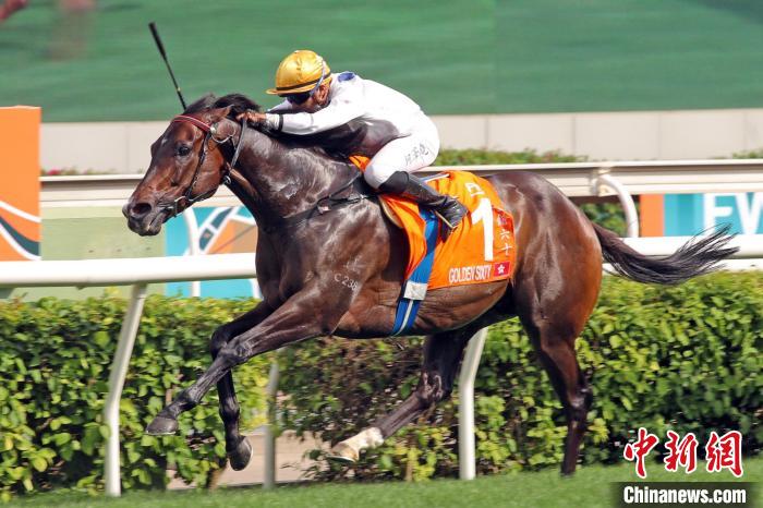 2019年香港马会全年资料概览，赛驹风采与赛事回顾大赏全解析！香港2021年马会资料