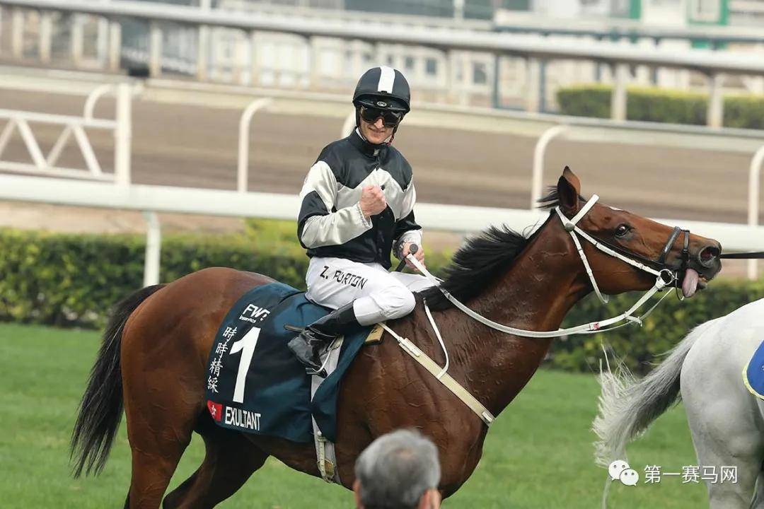 香港马会2019资料大全，赛场风云与精彩瞬间回顾分析篇香港2021年马会资料大全