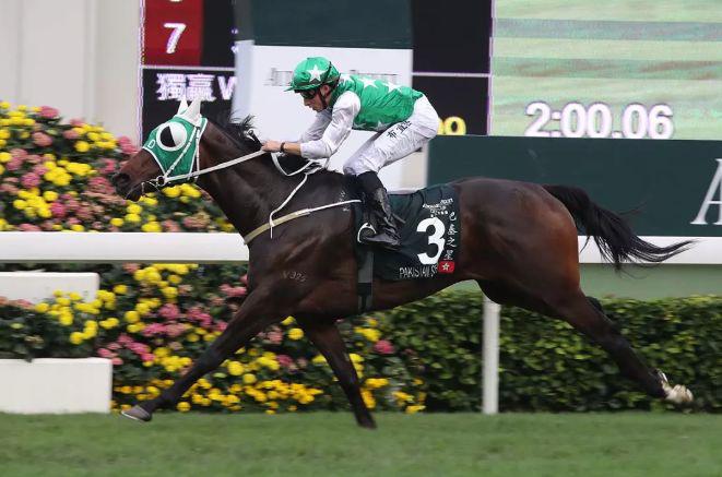 2018香港马会资料大全，赛驹风采与竞猜攻略全解析香港2021年马会资料大全