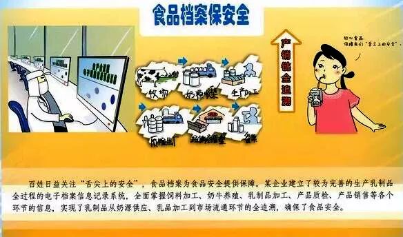 管家婆期精准资料，揭秘免费资料的奥秘与价值所在！探索其背后的数据、策略和实用技巧分析报告