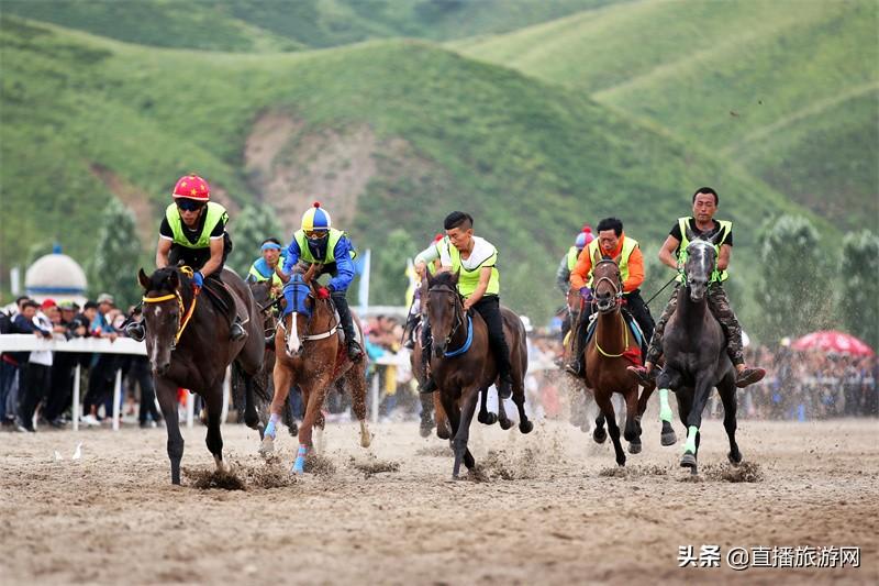 20XX年马会正版香港资料大全，揭秘赛马的魅力与策略分析指南篇2021年正版马会香港资料大全一