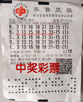 2019年六开彩历史回顾，那些令人难忘的开奖记录与瞬间解析2019六开彩开奖记录查询