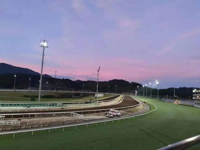 2019年香港马会资料大全，免费获取与解读指南香港2021年马会资料大全