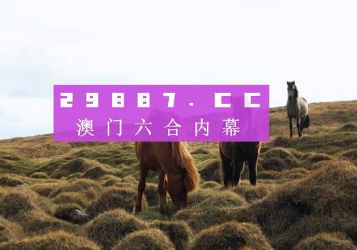 澳门开奖免费大全澳门新资料