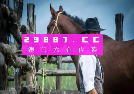 20XX澳门全年资料免费大全，探索与分享的旅程开启！2023澳门全年资料免费大全诸葛亮藏宝图解析