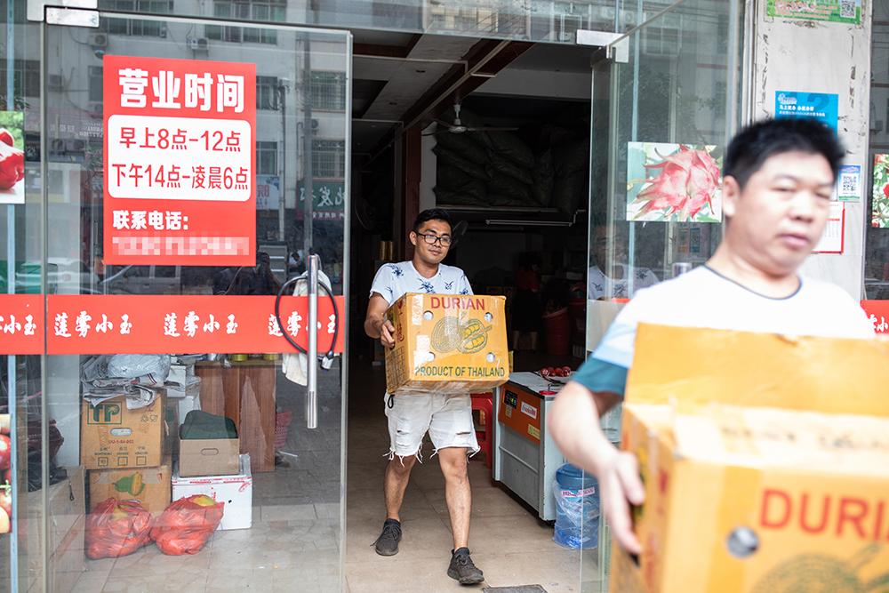 天下水果，奶奶的免费资料宝库—品味健康与分享的美好时刻！天下水果奶奶资料网站