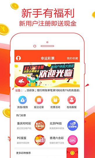 管家婆2019开奖结果揭秘—数字背后的故事与期待中的惊喜！管家婆2020开奖结果
